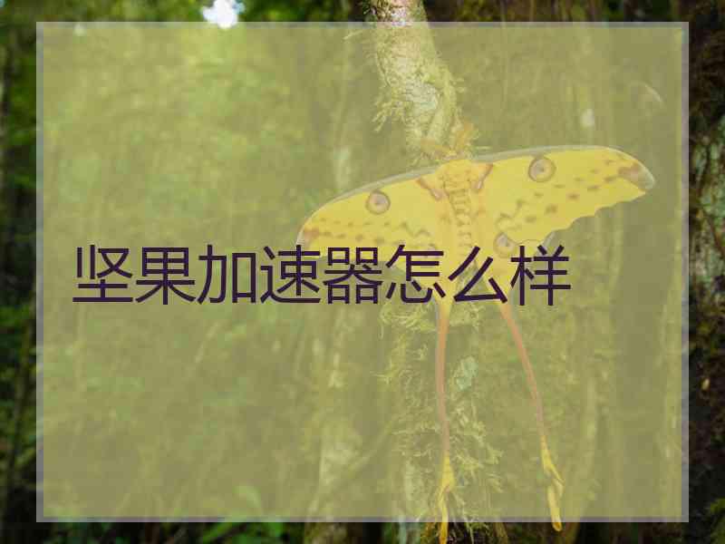 坚果加速器怎么样